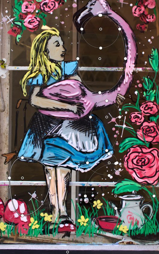 Close-up of the edited image with the selective edits overlay. Six ellipses are visible, targeting areas with reflections and distractions.