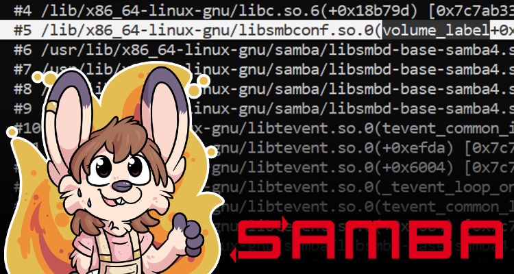 Samba: volume_label segfault with bad usershare permissions